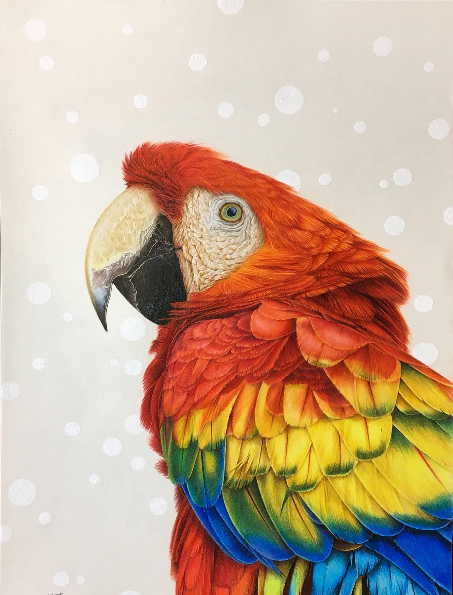 中国地质大学艺术系毕业生蕾猪的关于动物的绘画作品欣赏_高清图集