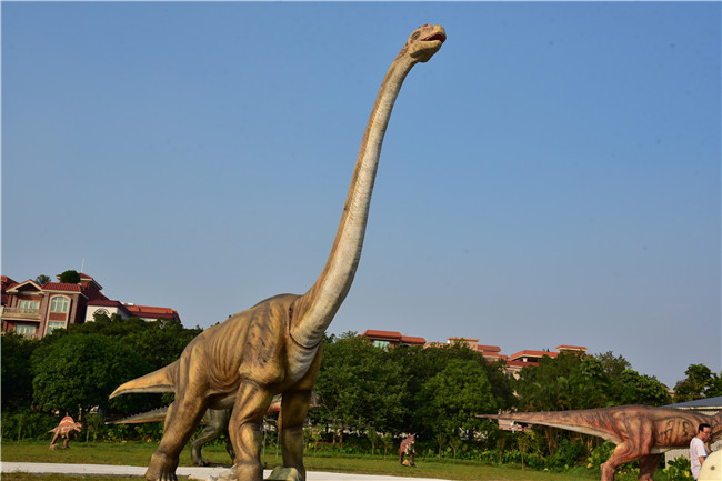 罗南生态园恐龙节展出的恐龙种类很多,包括贝恩角龙,气腔龙,中华丽羽