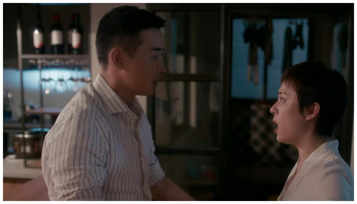 安家:房似锦被停职,徐姑姑霸气护妻,怒拽翟总衣领“你没资格”