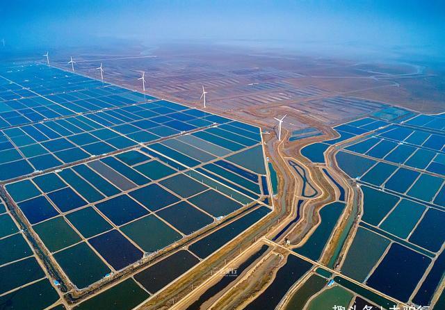 但自黄河改道以后,苏北洪涝灾害连年不休,昔日肥沃的平原也逐渐丧失了