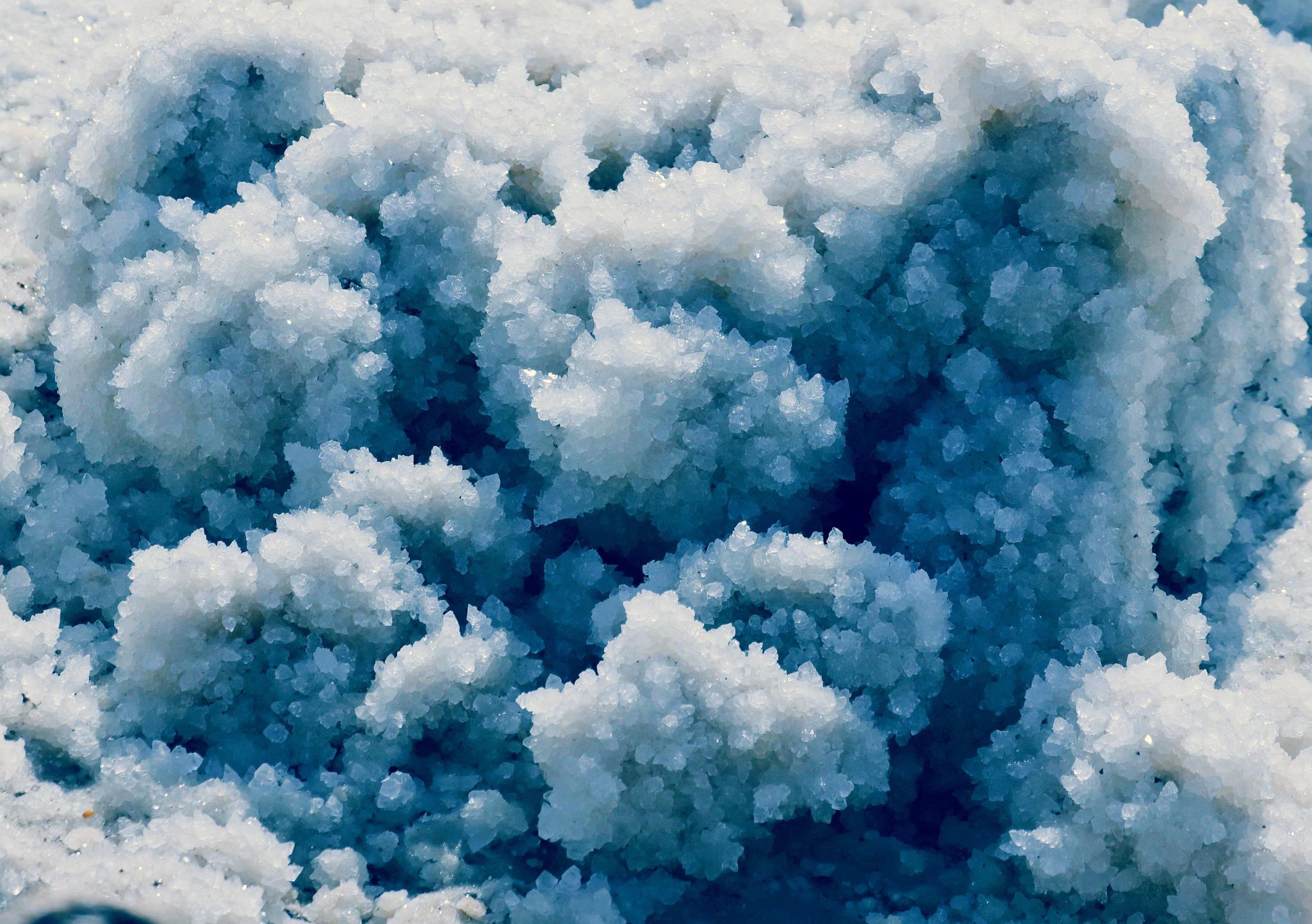 在那盐花绽放的地方——格尔木盐花奇观探寻记