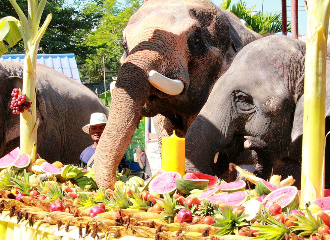 泰国大象日:各地举行欢庆 大象受浴佛礼
