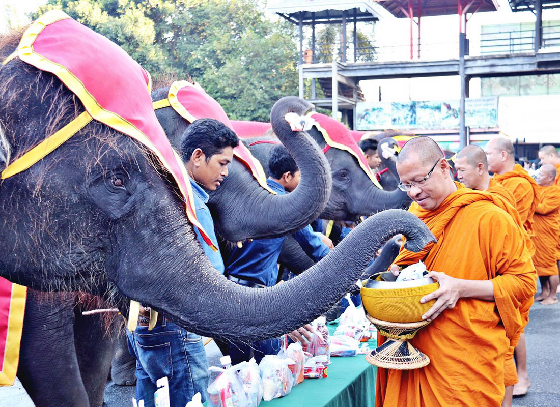 泰国大象日:各地举行欢庆 大象受浴佛礼
