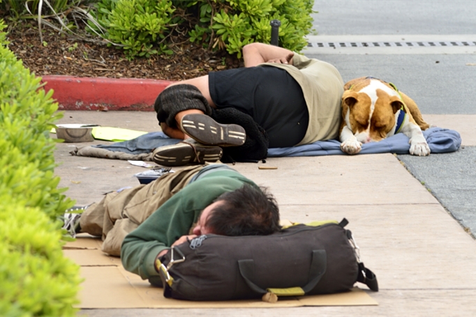 富豪区为驱赶附近流浪汉露宿,竟彻夜播放儿歌,群众:太不人道|棕榈海滩
