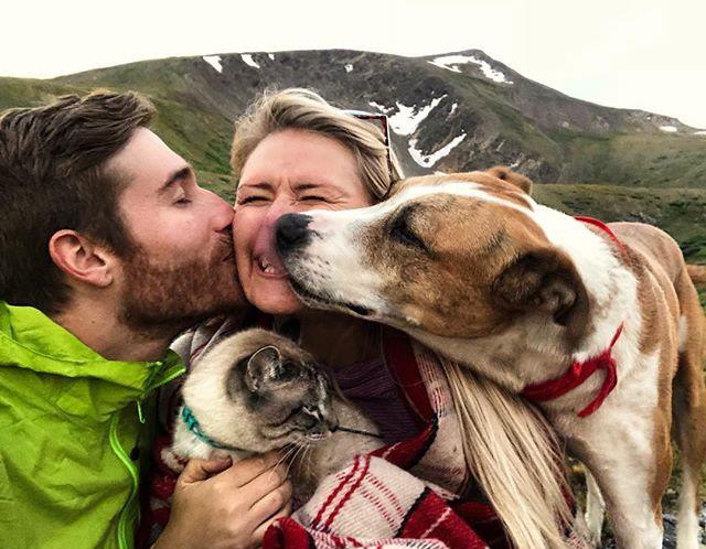 本来都是浪浪猫狗挚友henrybaloo游览亲昵容貌疗愈百万网友