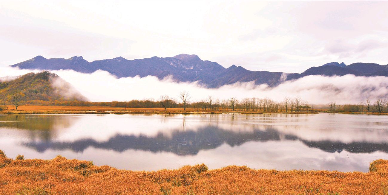 「灵秀湖北·荆楚山川」秋色神农架 在油画中穿行