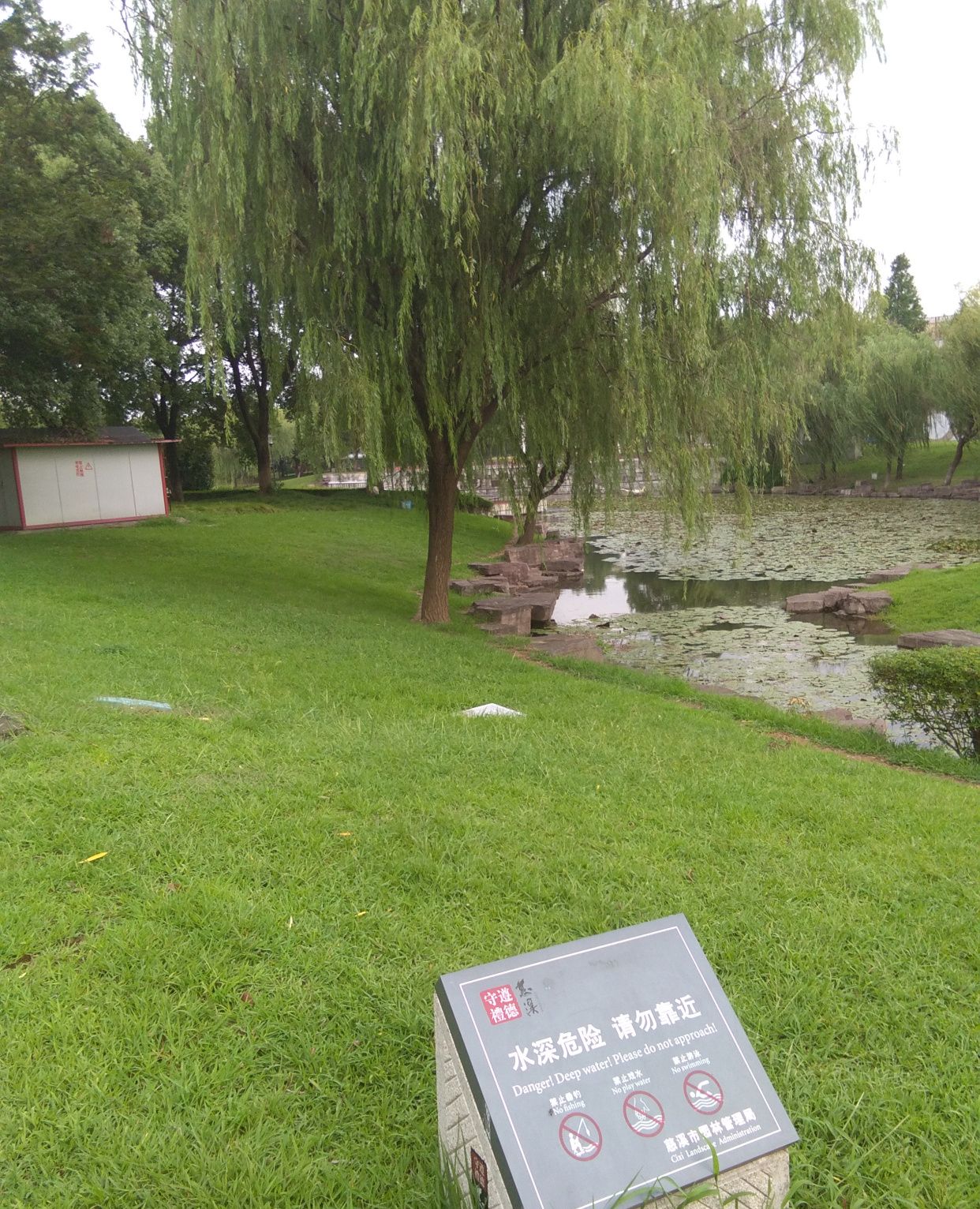 阳光中带着淡淡的薄雾,今天带着无比兴奋的心情来到了慈溪市人民公园