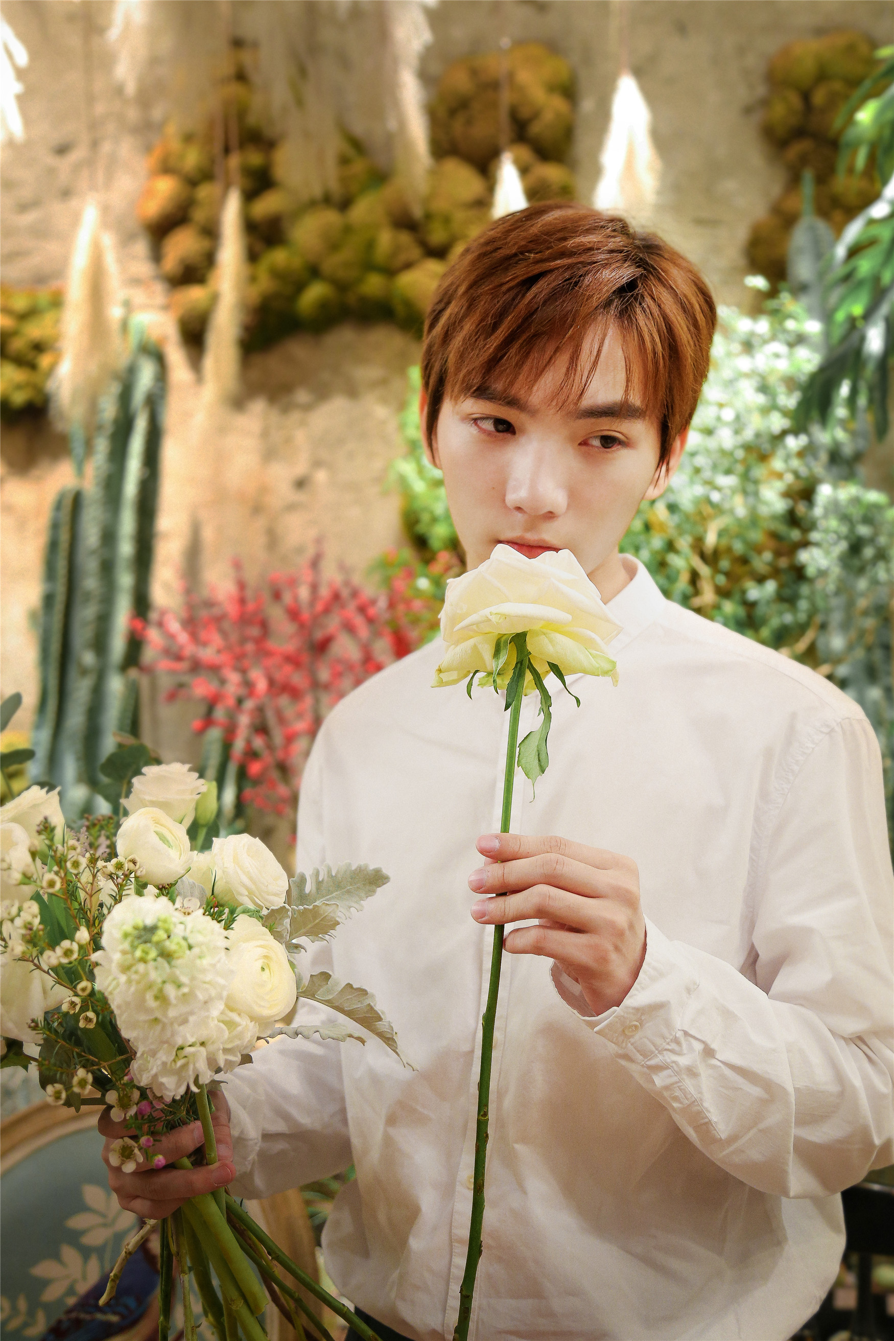 祁宋花店写真曝光 白衬衣少年的限定心动