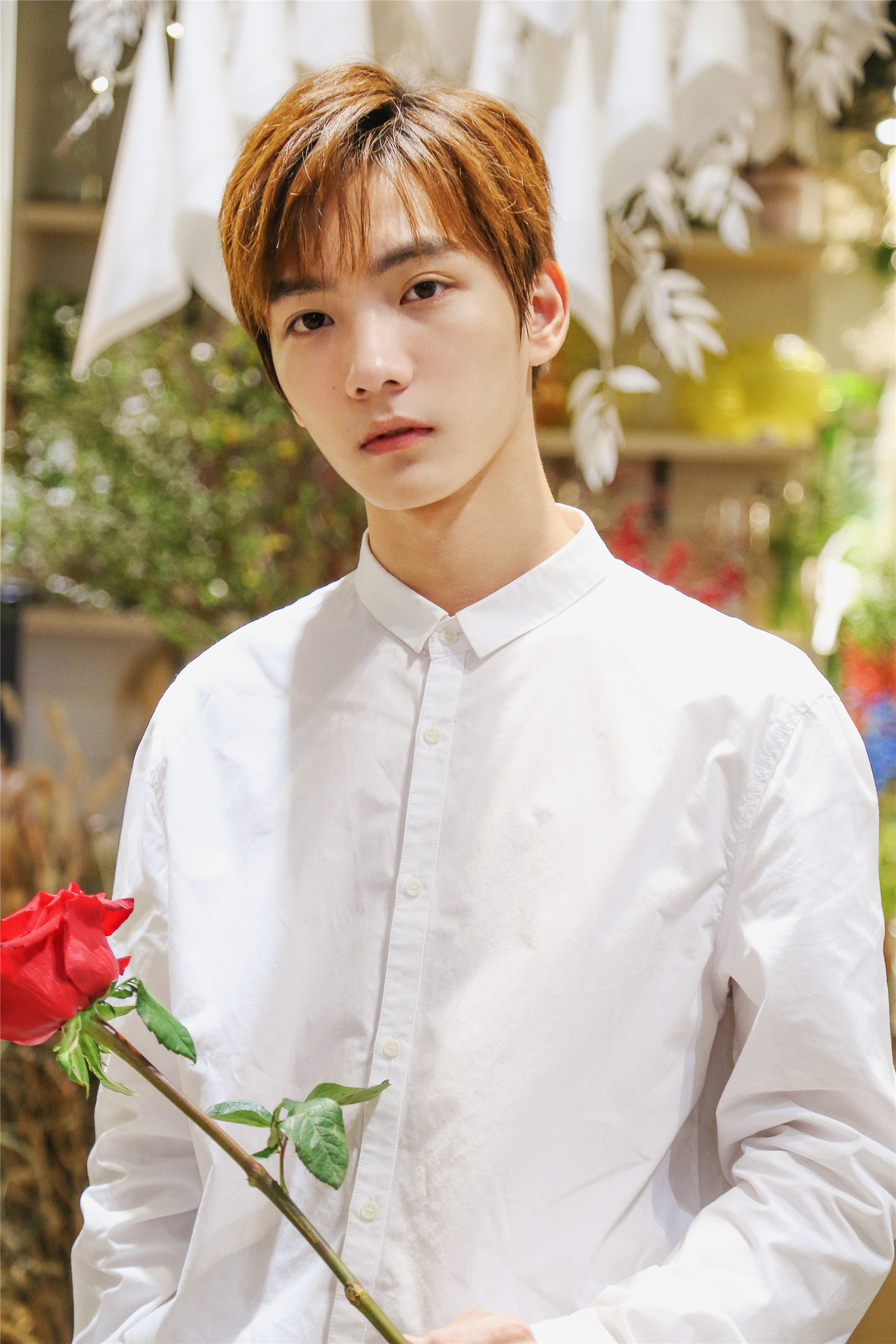 祁宋花店写真曝光 白衬衣少年的限定心动
