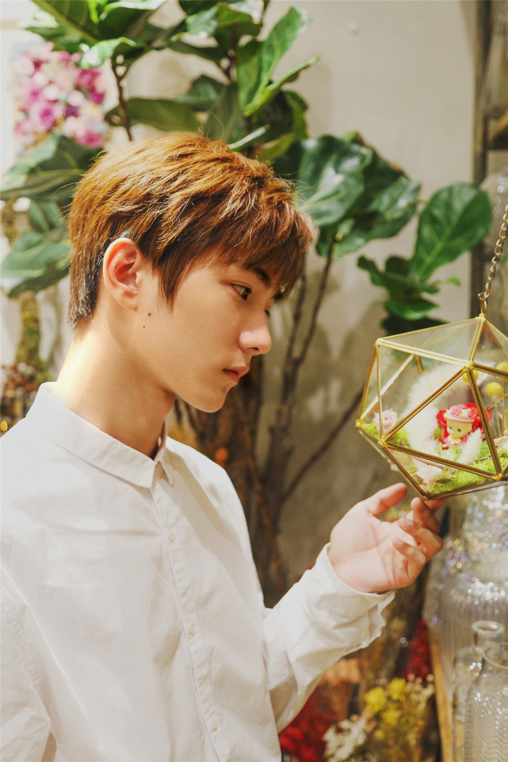 祁宋花店写真曝光 白衬衣少年的限定心动