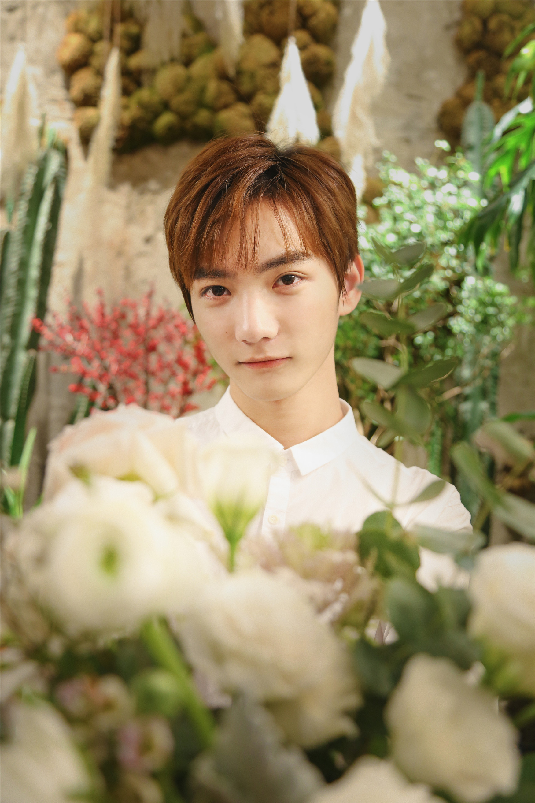 祁宋捧花祁宋 花祁宋祁宋祁宋 对视祁宋 侧脸祁宋