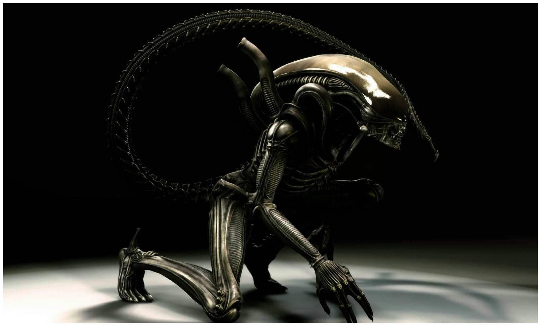 异形契约真的好看,如看斗破苍穹一样爽