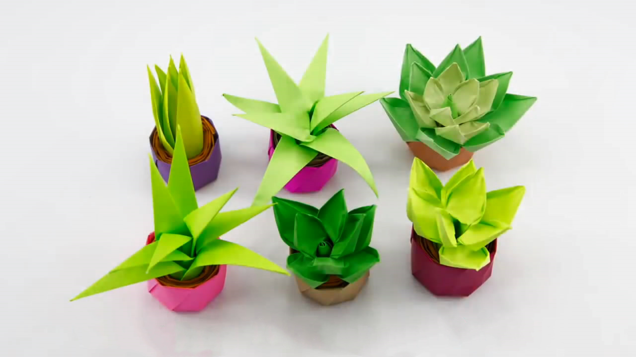 手工折纸多肉植物盆栽方法很简单新手也能轻松学会