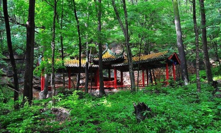 松峰山自然保护区位于哈尔滨市南45公里处的阿城区松峰山镇