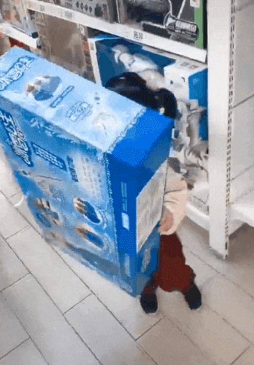 3岁安安逛超市，扛大型玩具放进购物车，陈赫直呼“太败家”！