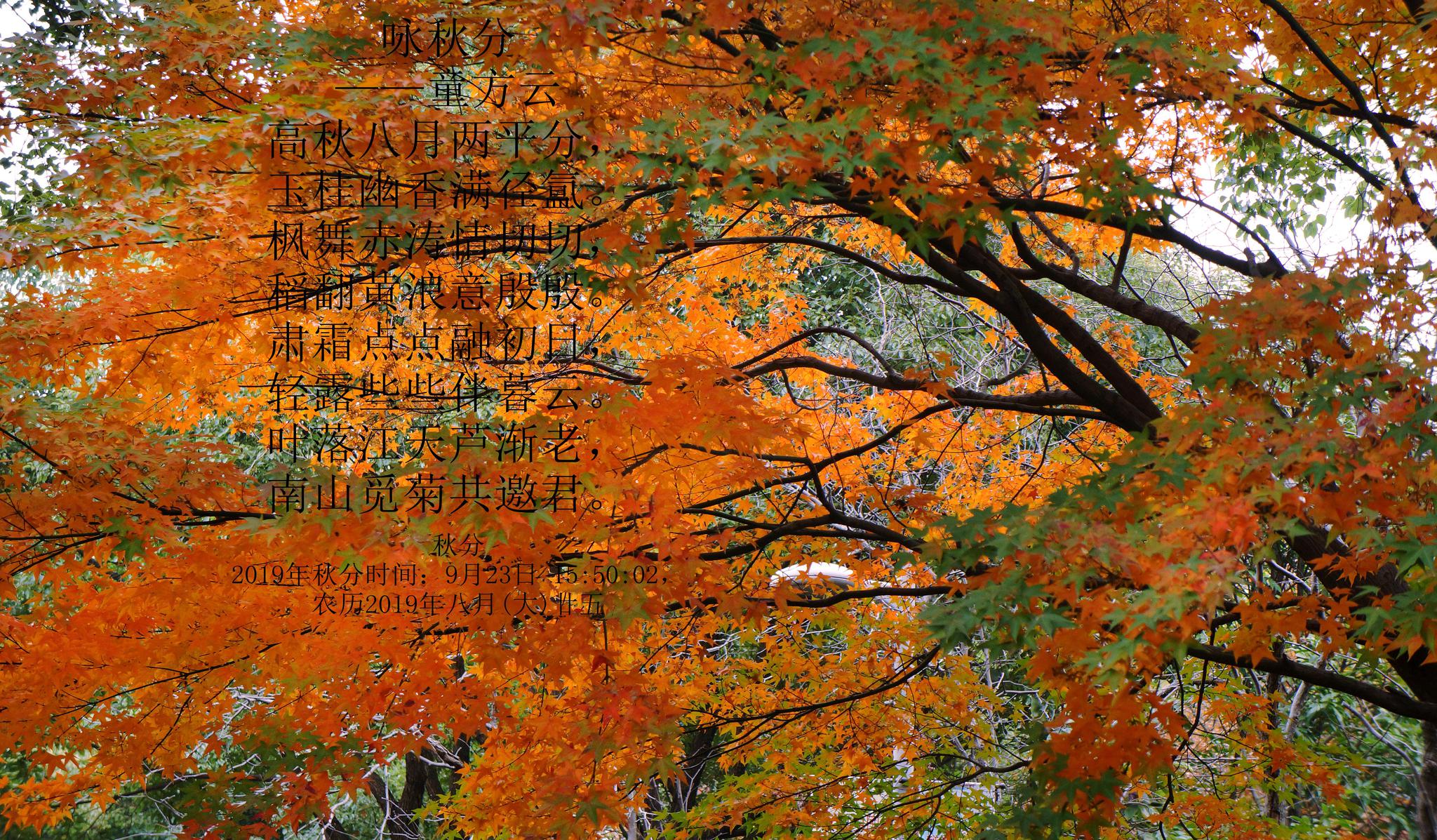 为童方云老师《咏秋分》新诗作配图