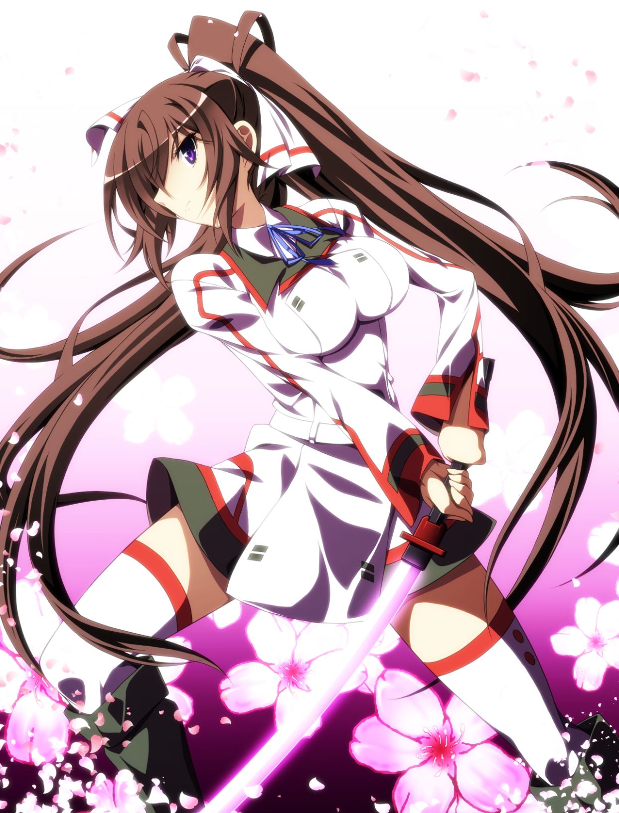 无限斯特拉托斯:机战女神插画,愉快的校园恋爱喜剧就此展开_高清图集