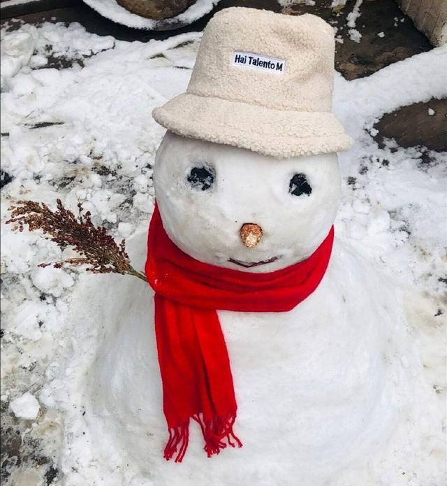 记录一下北方的第一场大雪很漂亮