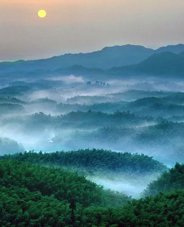 最美竹海:宜宾蜀南竹海_高清图集_新浪网