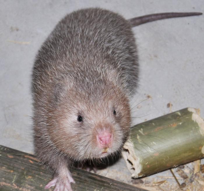 北方人在广西吃的一次恐怖的宵夜