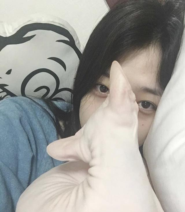 孤独无人理解崔雪莉时只有猫做她的听众