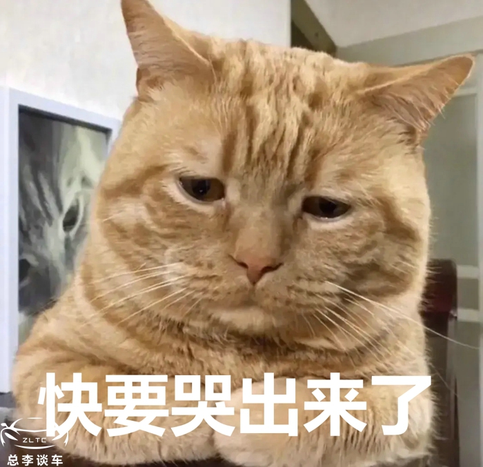 雷车在中国被捧上天，在德国却是倒数，难道德国人不懂车？