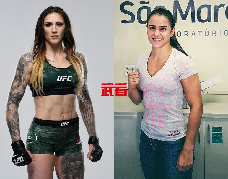 赛胡多放弃蝇量级冠军头衔,贝纳维德兹与菲格雷多争夺空缺头衔