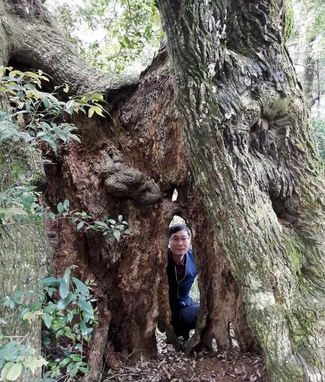 连城县文亨镇田螺岛探奇