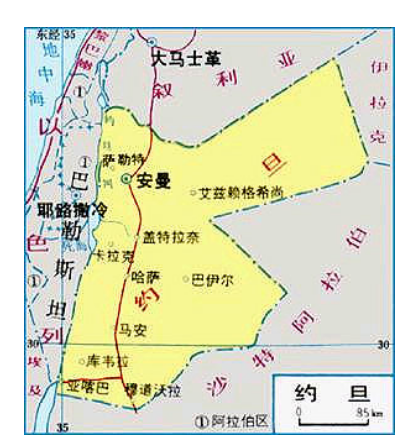 亚洲杯巡礼勇敢者约旦