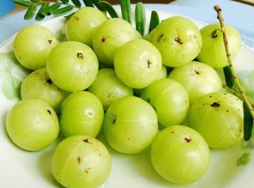 美食|余甘果|紫苏_新浪新闻