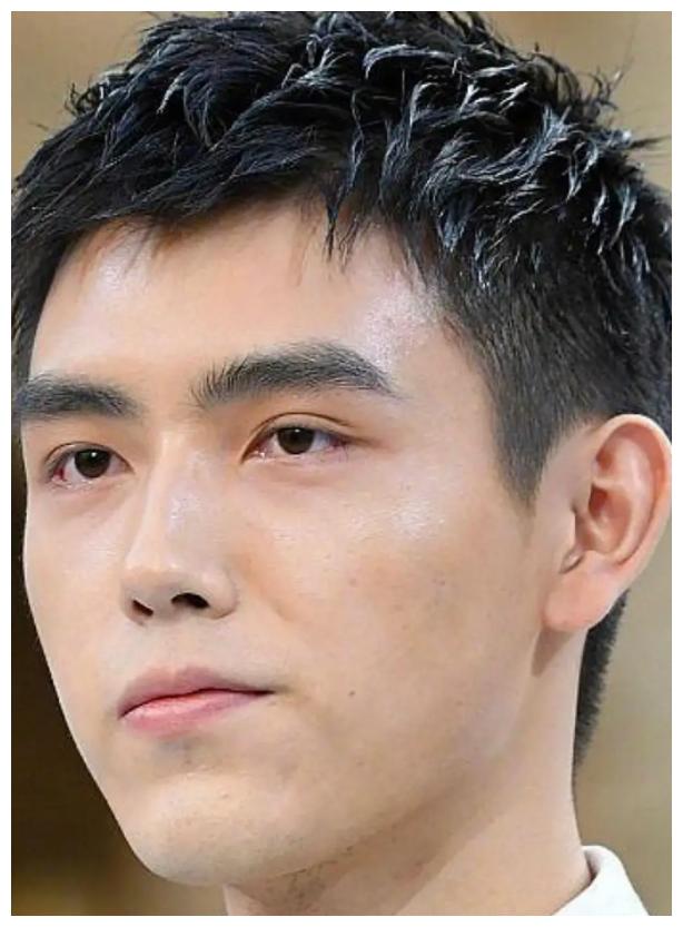 陈飞宇最致命的是他的泪沟和法令纹,和他妈妈陈红一模一样