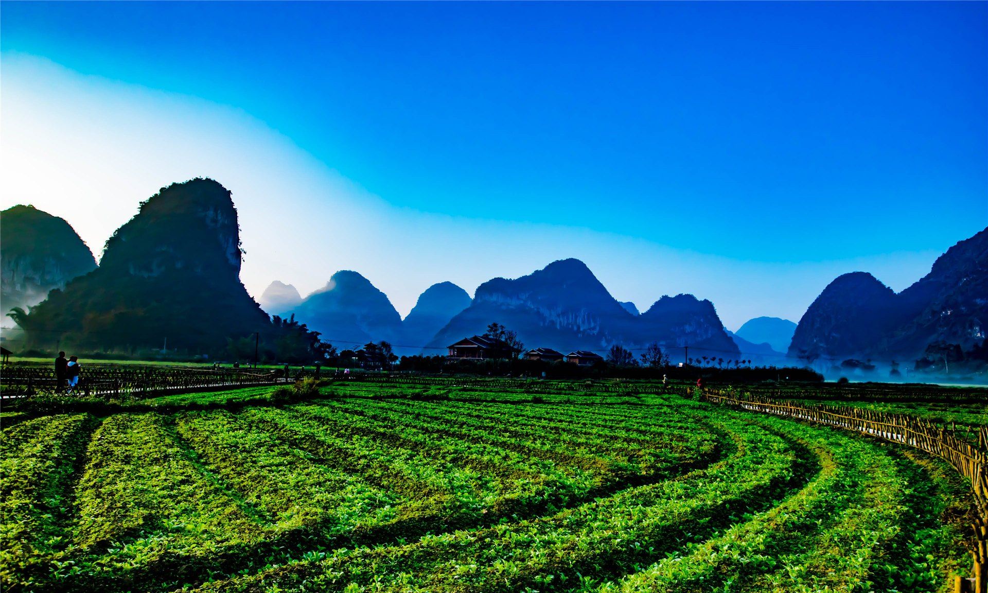 广西靖西——中越边境美丽的田园风光