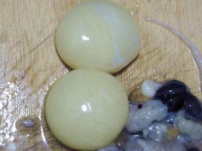 日本人吃海鲜到底有多厉害章鱼卵都敢生吃网友佩服佩服