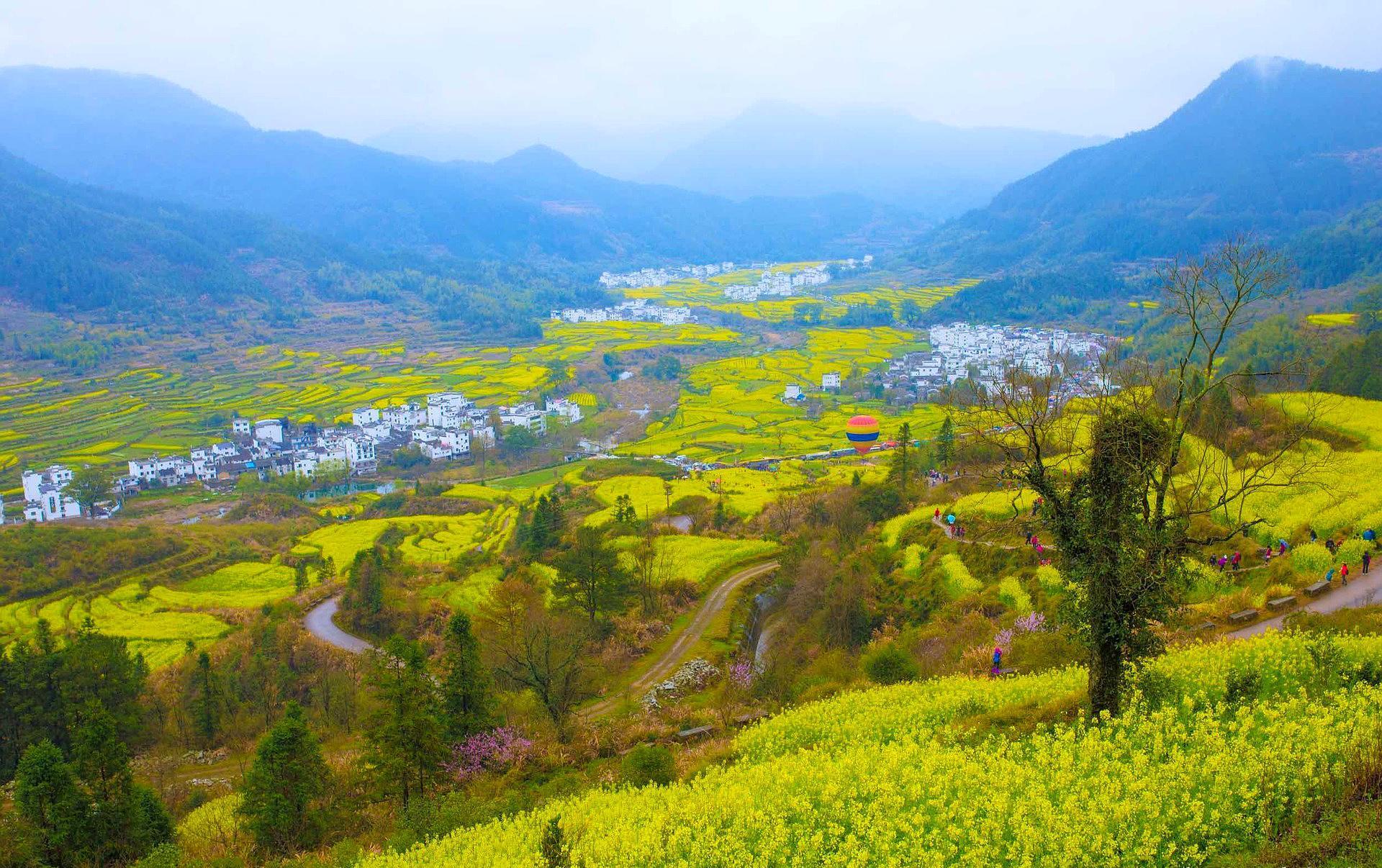 婺源最美的季节是油菜花开放的时候
