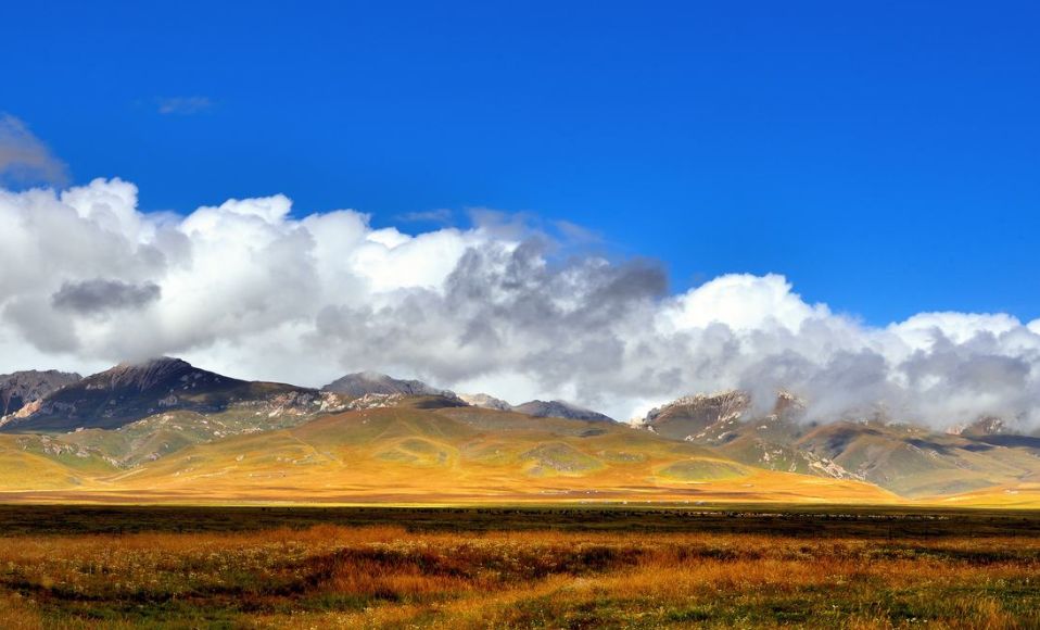 川西北高原上的绿洲若尔盖草原,看这浓浓的醉人景色