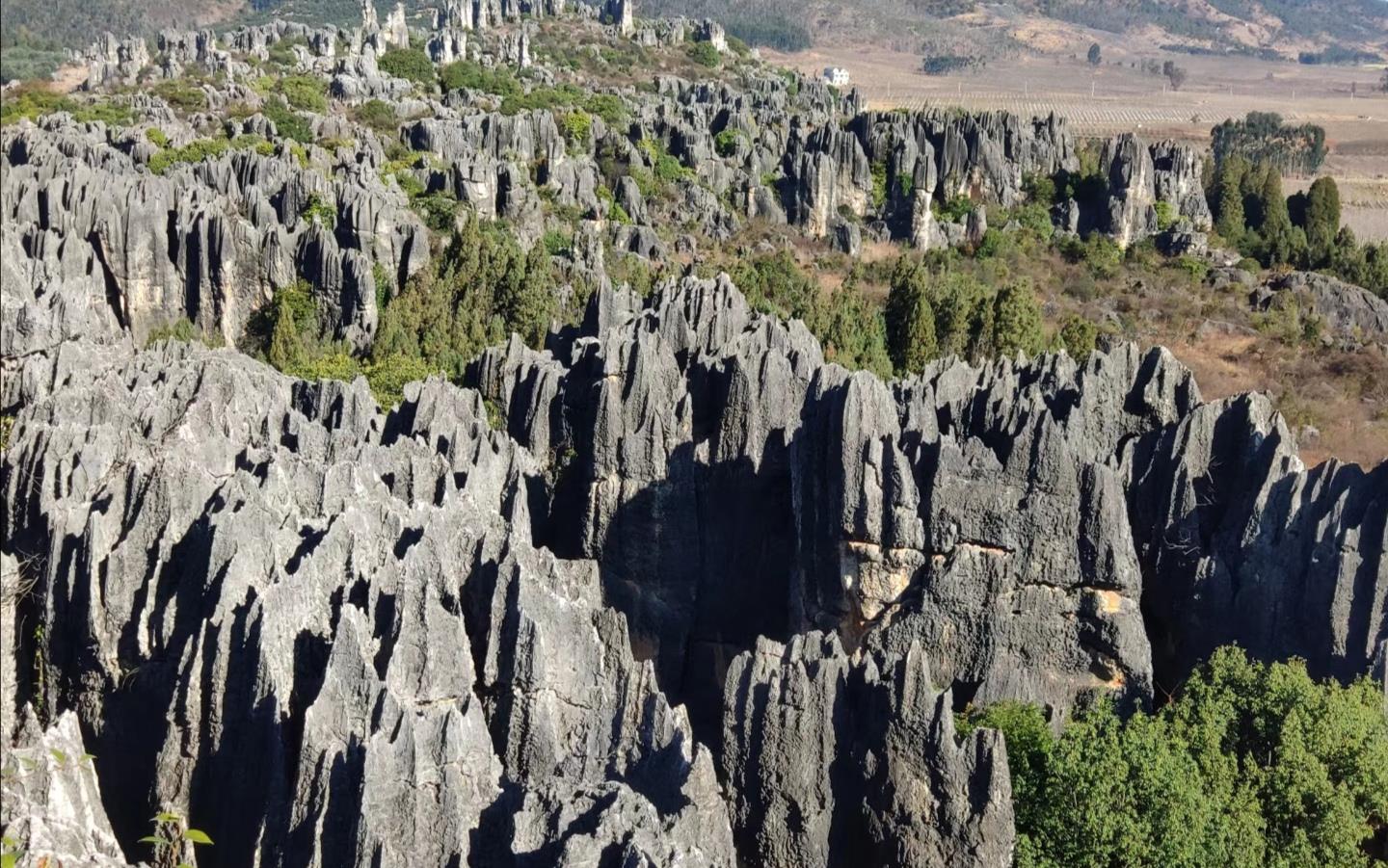 昆明极具特色的石林:乃古石林