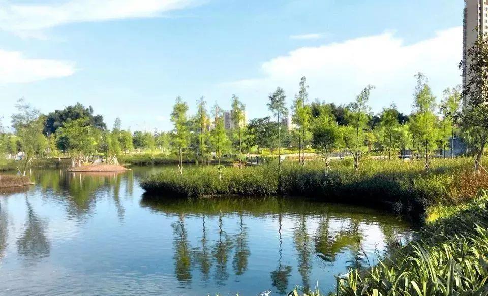 自然生态是其最重要的景观特征自然驳岸应成为滨水区