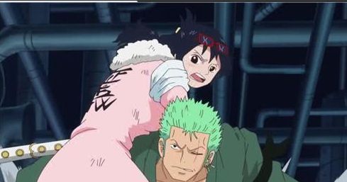《海贼王》日和成为索隆的新cp?你问过山治他们没?