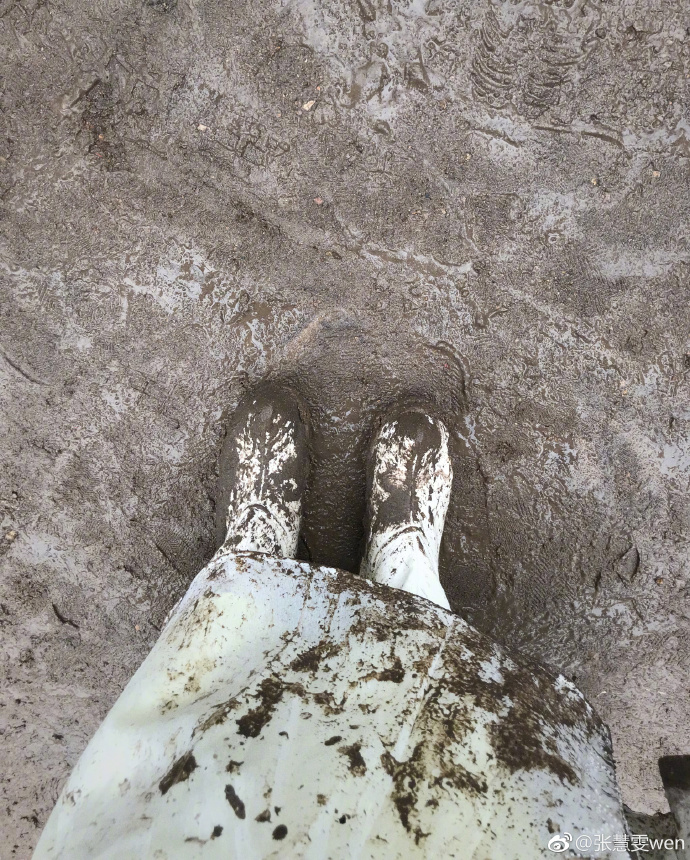 看到张慧雯这个样子,不少网友纷纷送去了安慰,有网友表示说:小姐姐,你