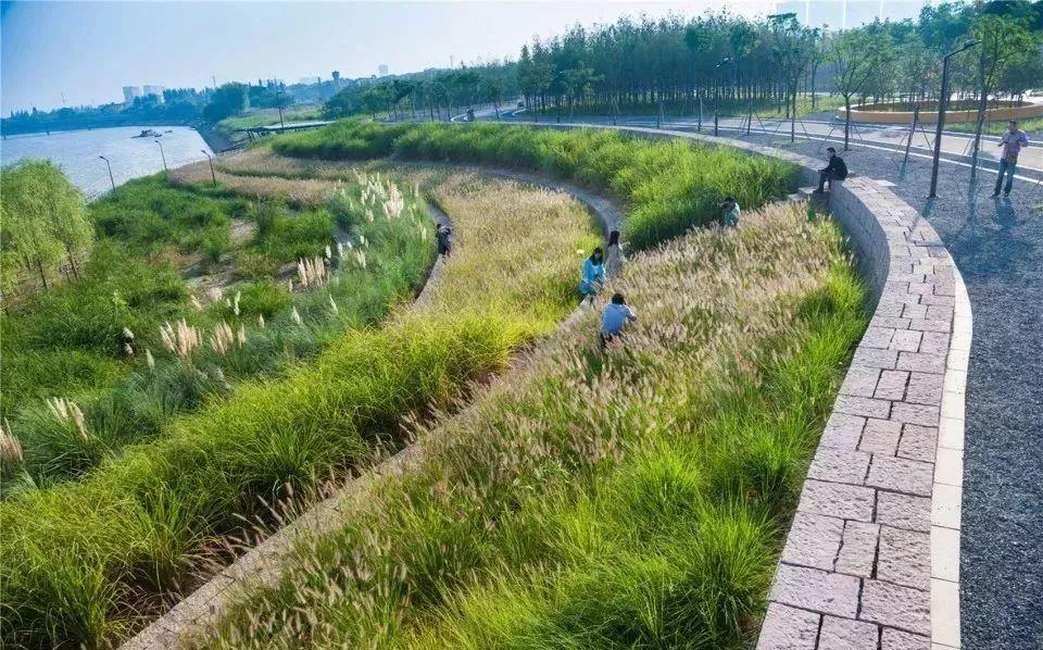 滨水景观水陆界面处理的26种空间类型