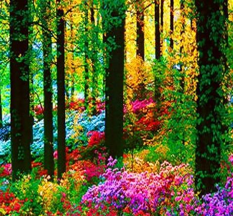 美图大自然一年四季景色都美丽如画