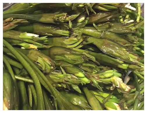 美白皮肤减皱纹,排毒瘦小腹,7成人不认识|海菜|馋猫|大蒜_新浪新闻