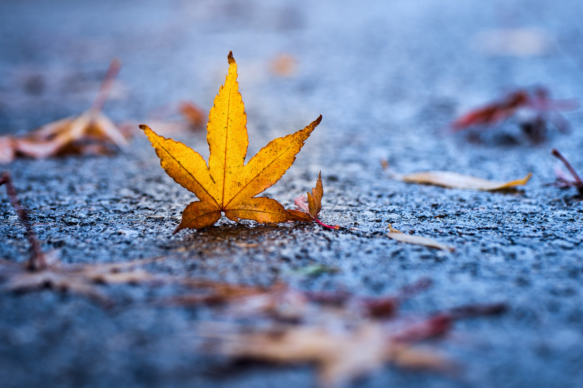 怎样在摄影中表现景物的立体感