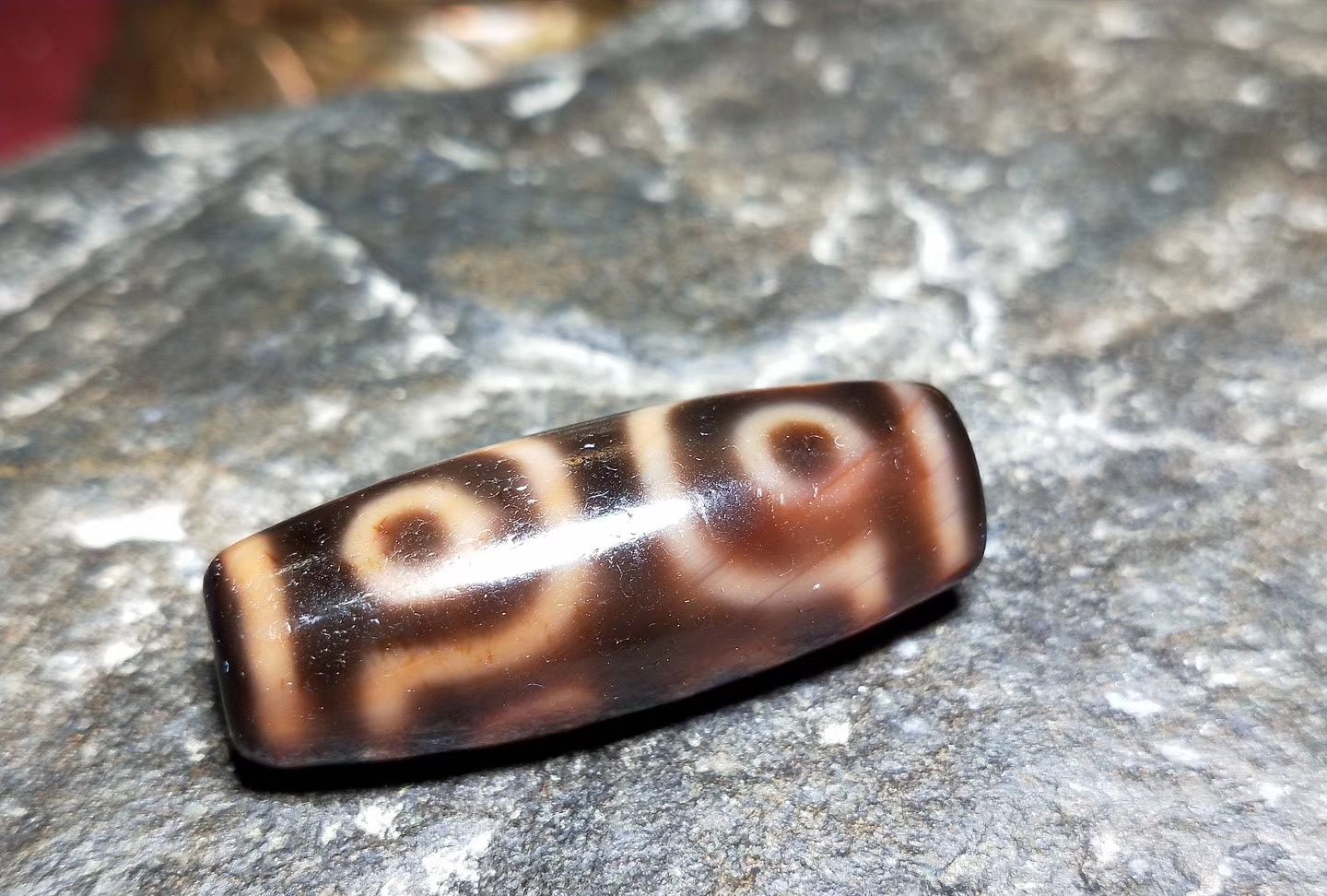 天珠变小说txt全集免费下载 最新章节资源哪里找