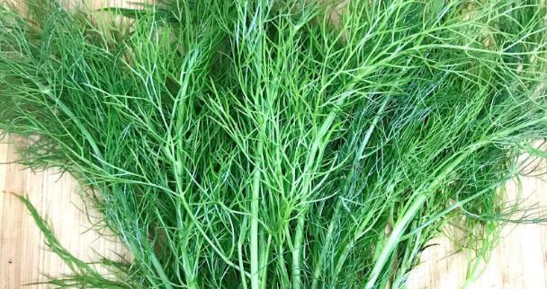 平时敞开吃这4物,或能使癌细胞"逃离身体"|癌细胞|抗癌|猴头菇_新浪