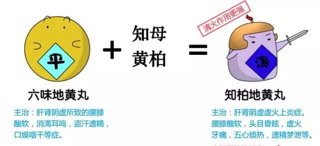 肾虚这3个危害,哪个最严重?肾阳虚或者肾阴虚,用药相同吗?|耳鸣|肾虚|肾阳虚_新浪新闻