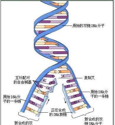 qq教程网站源码