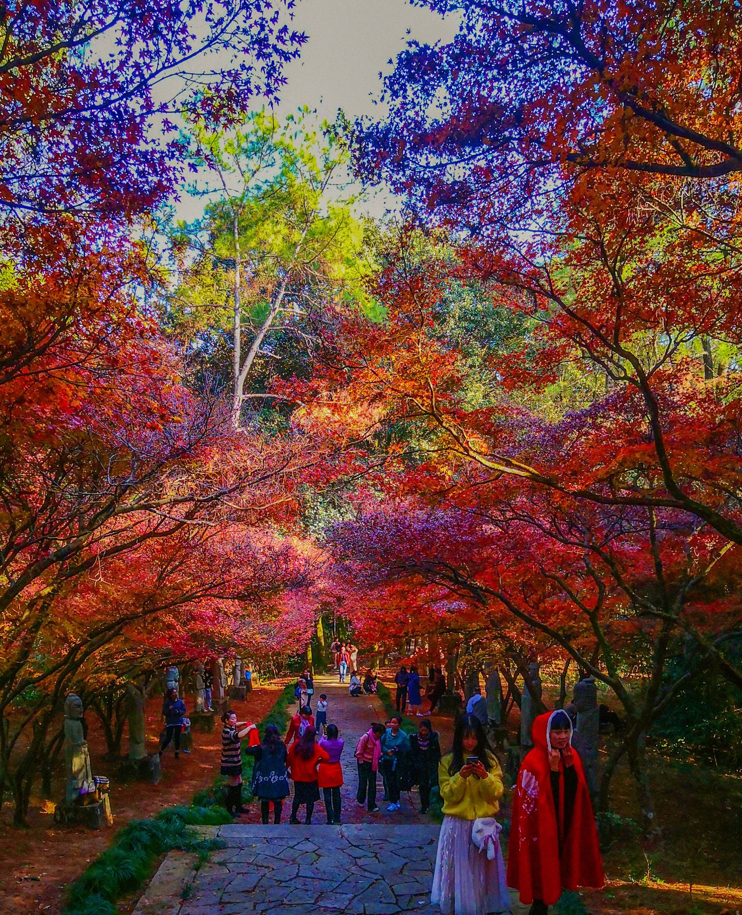 熙春越王台前的红叶已经染红 想到那儿留下你的身影么