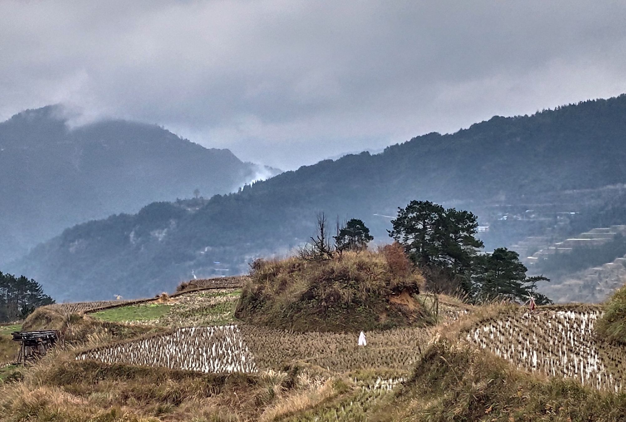 冬日里的大地雕塑,贵州省剑河县九秀苗寨梯田