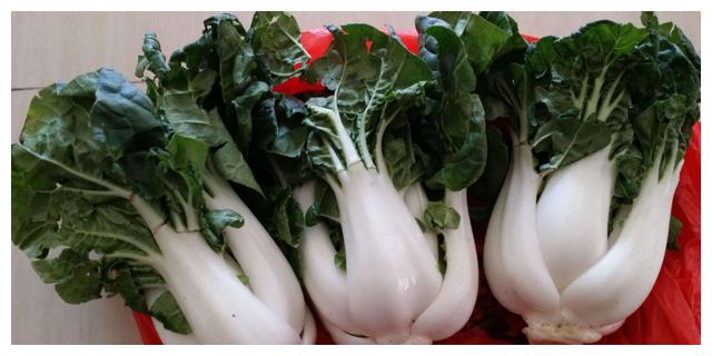 农民种一种像小白菜的蔬菜半月以后就可采摘被叫做快餐菜